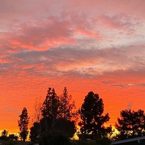 Meet your Posher, Maila